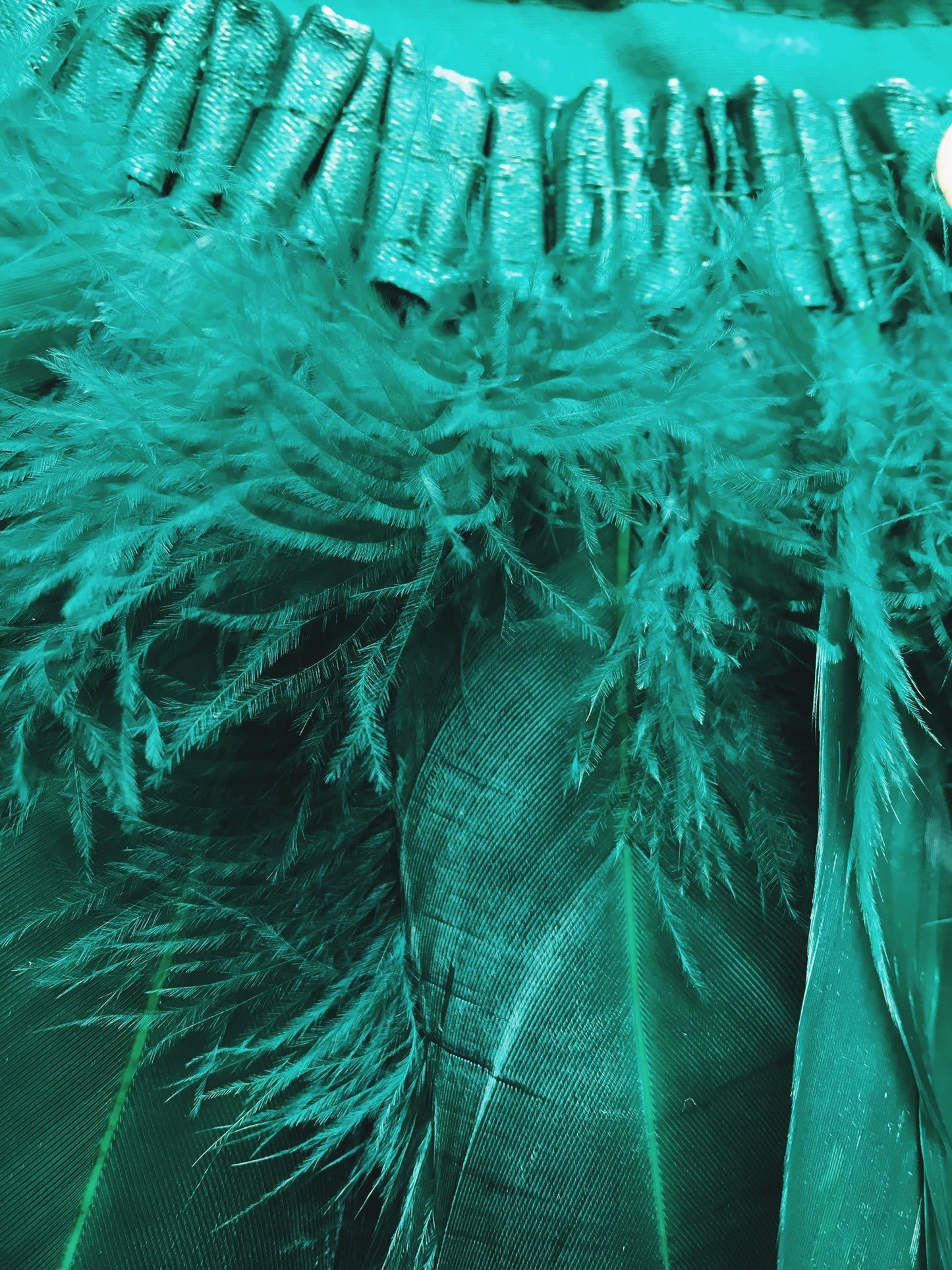 close-up of emerald green feathers
