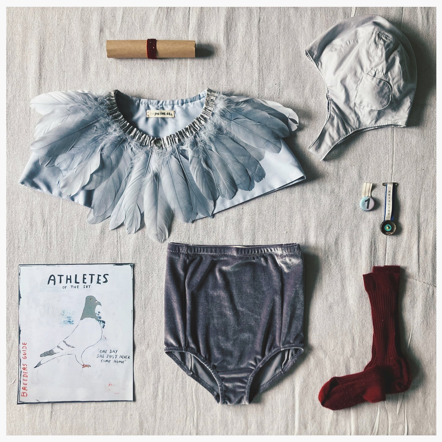 flat lay of a child's pigeon costume. Grey flying hat, grey velvet shorts, grey feather cape, some red ribbed socks a medal and a paper scroll